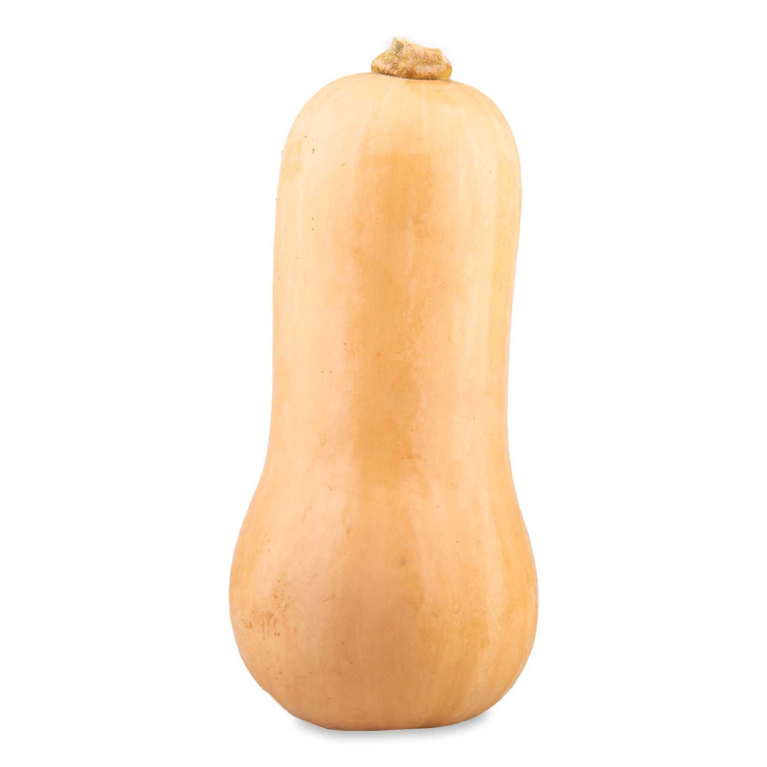 Butternut Squash Each Nature's Pick